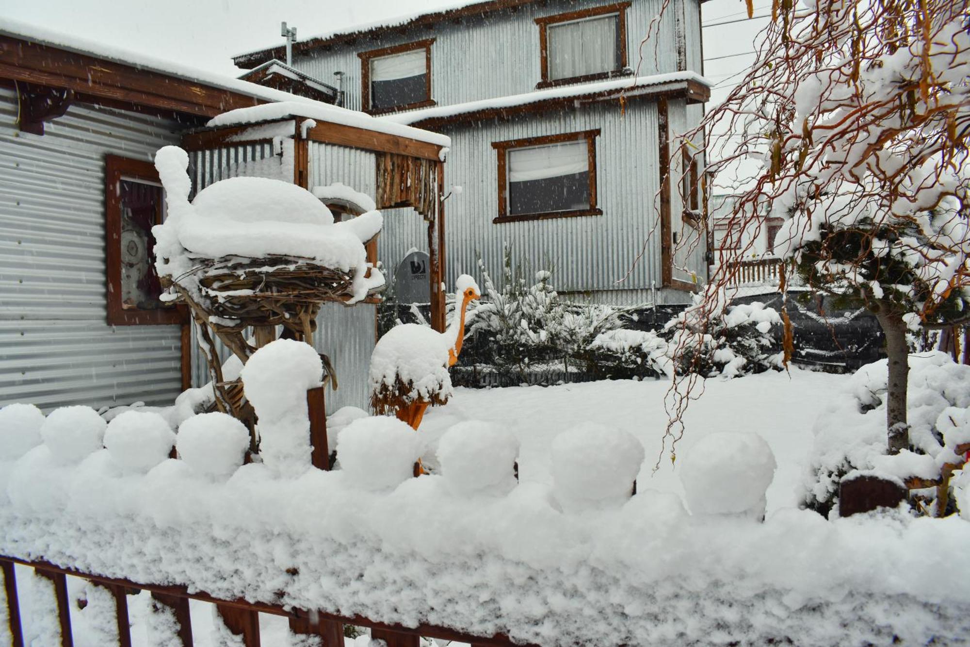 Nido De Luna El Calafate Extérieur photo